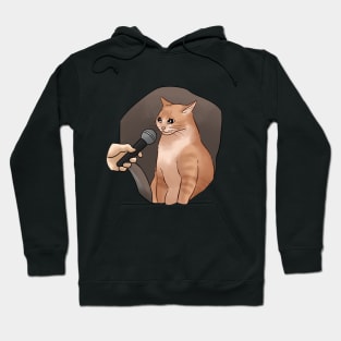 Cat with mic meme Hoodie